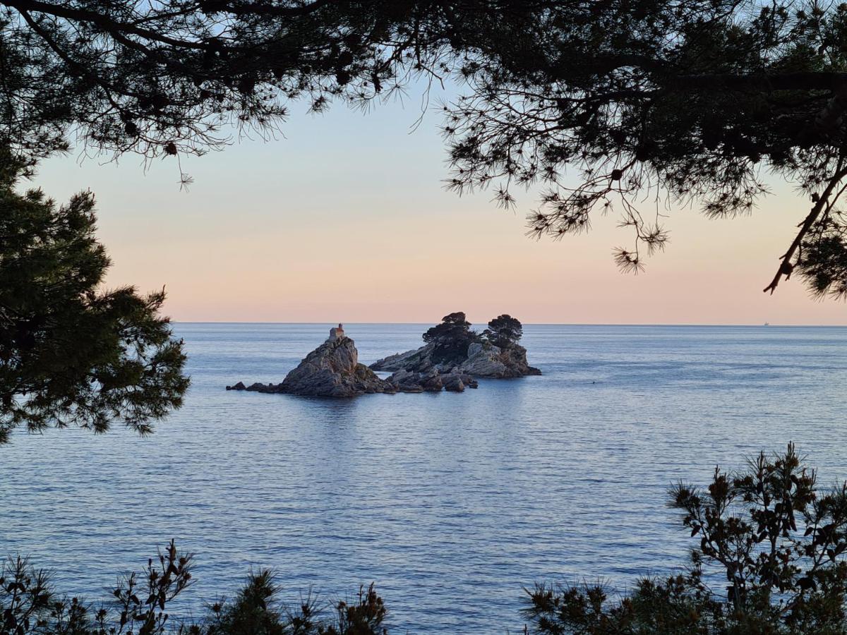 Palm Point Apartment Petrovac Zewnętrze zdjęcie