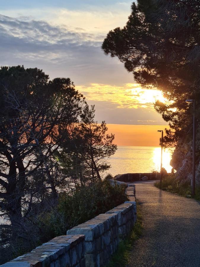Palm Point Apartment Petrovac Zewnętrze zdjęcie