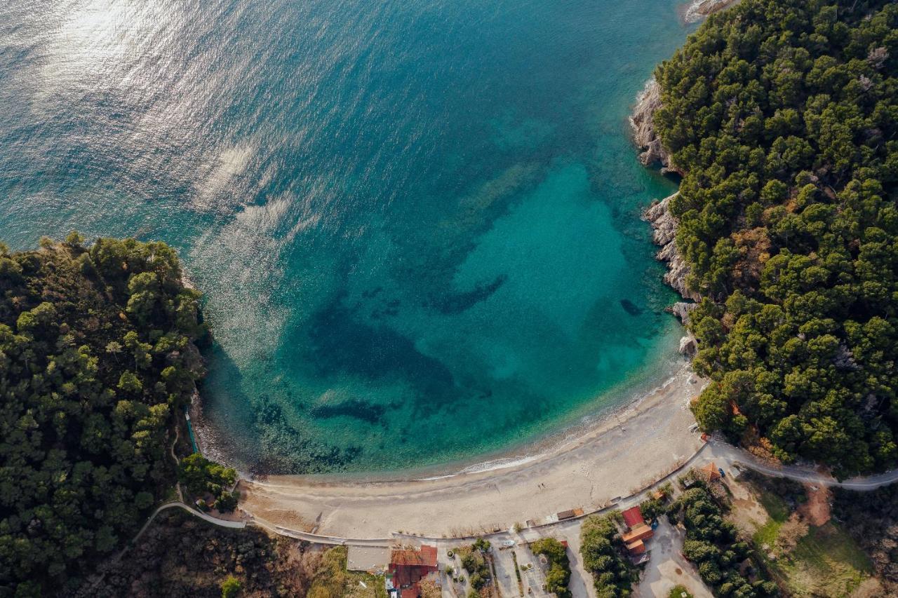 Palm Point Apartment Petrovac Zewnętrze zdjęcie